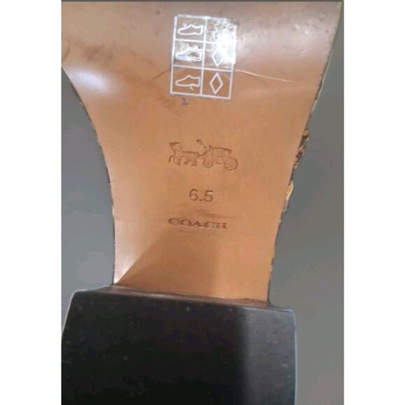 Coach Phoebe Studded Snakeskin Leather Booties Size 6.5 B LOOK!!!!!! G3990 - Picture 5 of 6